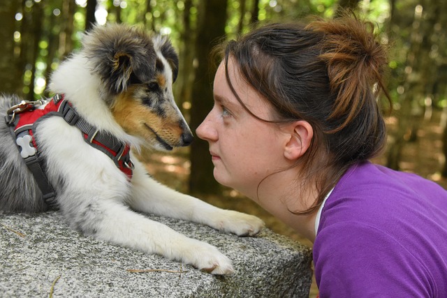 Erziehung Hund eindeutige Signale