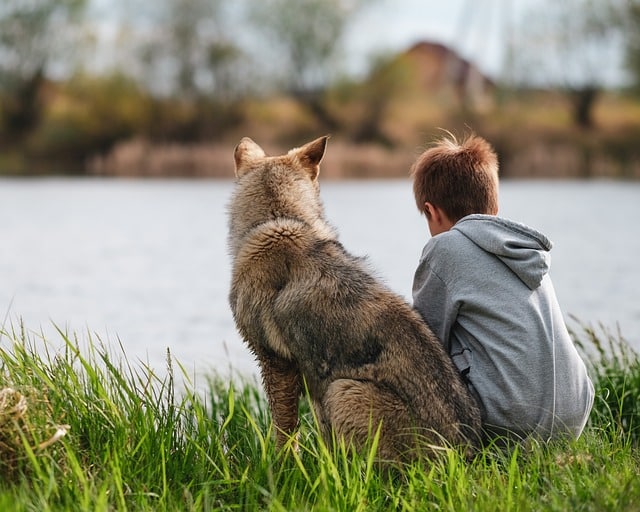 Haustier Hund