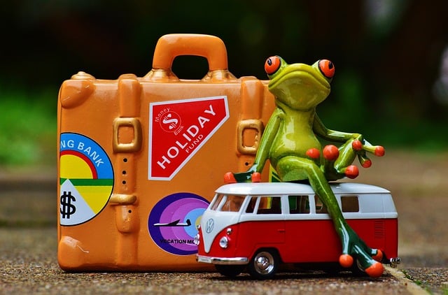 Reise Haustier Checkliste