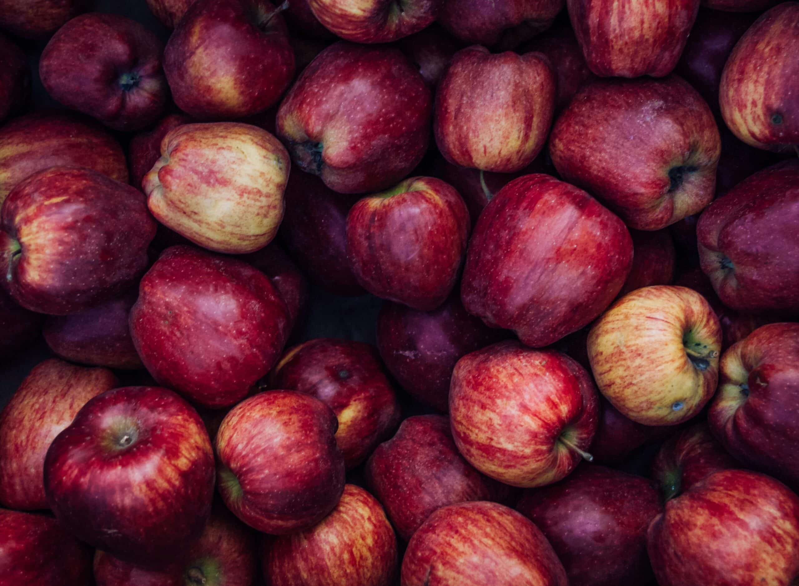 Kostenloses Stock Foto zu apfel, ernährung, ernte