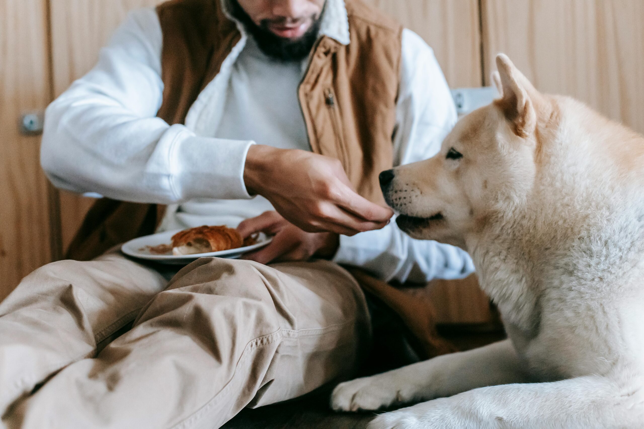 Mann, Der Einen Hund Füttert