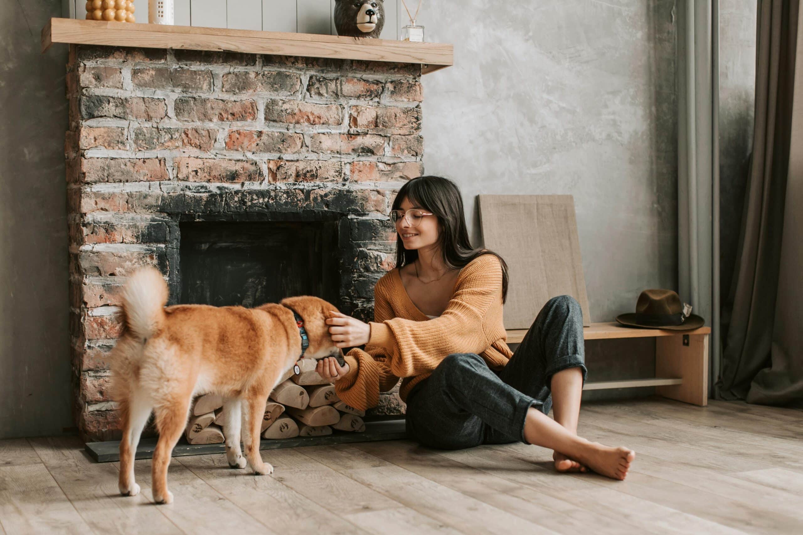 Die perfekte Hundeernährung: Was Ihr Vierbeiner wirklich braucht