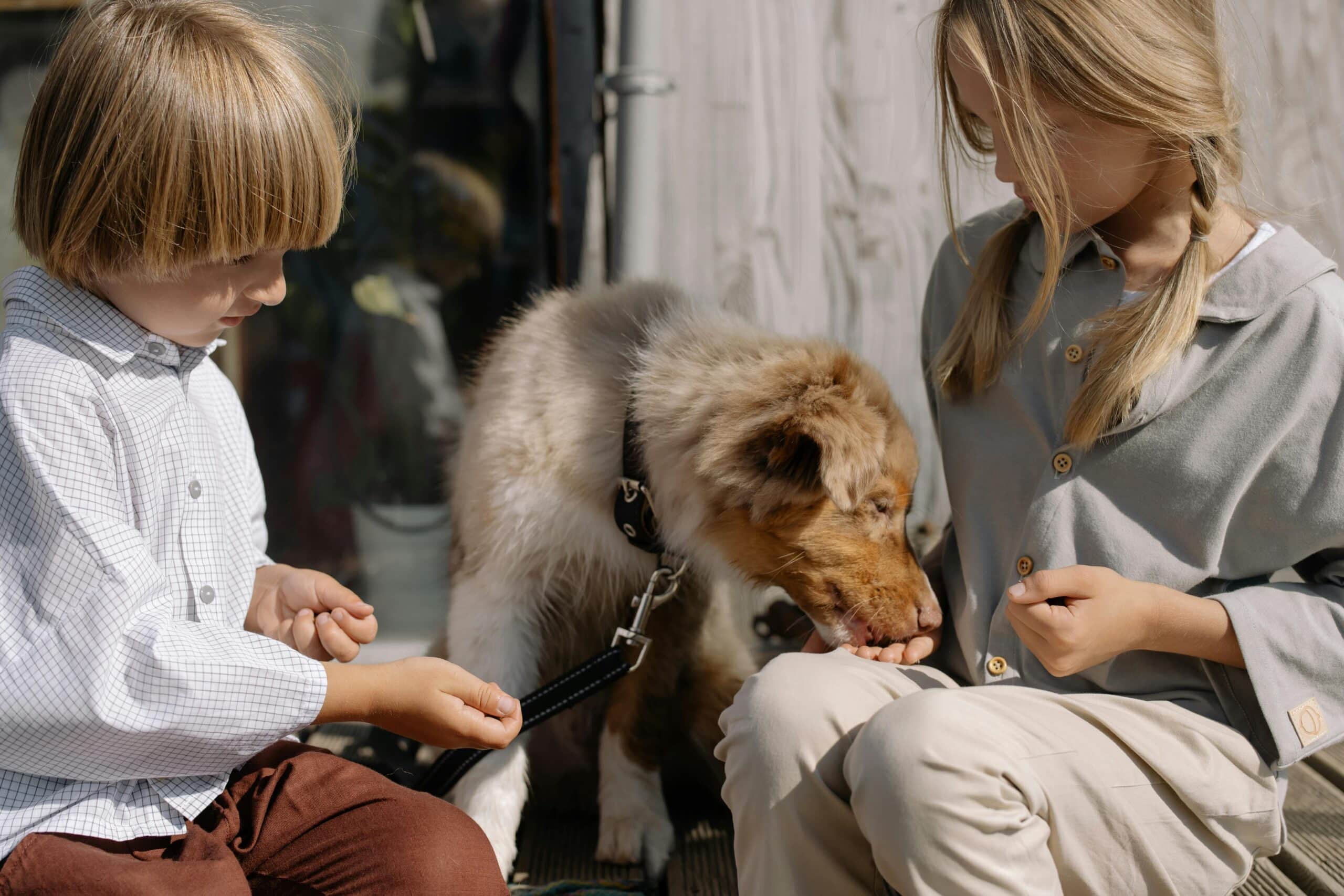 Kostenloses Stock Foto zu begleiter, blond, bruder