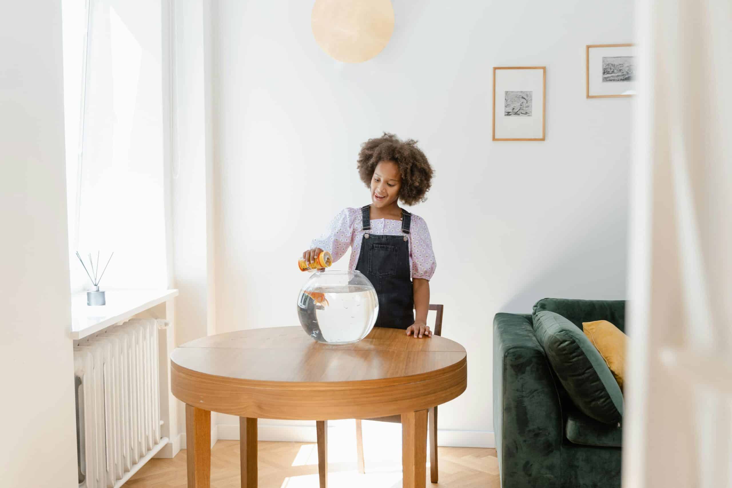 Kostenloses Stock Foto zu afro-haar, afroamerikanisches mädchen, deckel