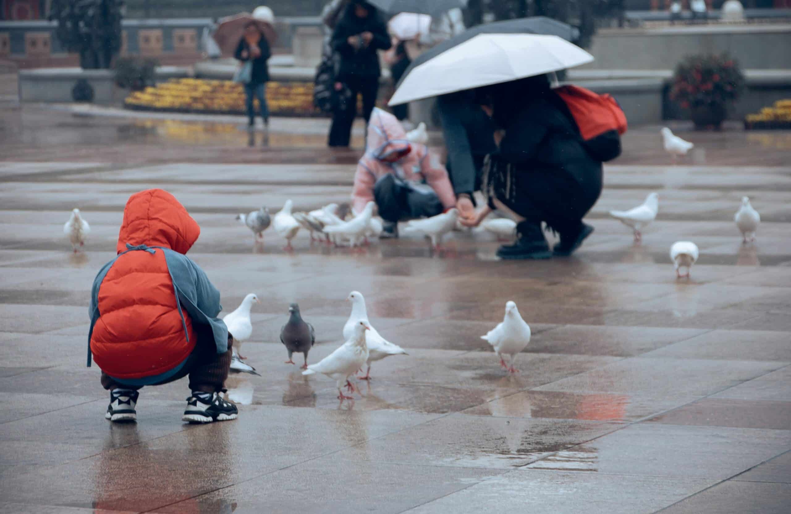Kostenloses Stock Foto zu ern&auml;hrung, menschen, regen