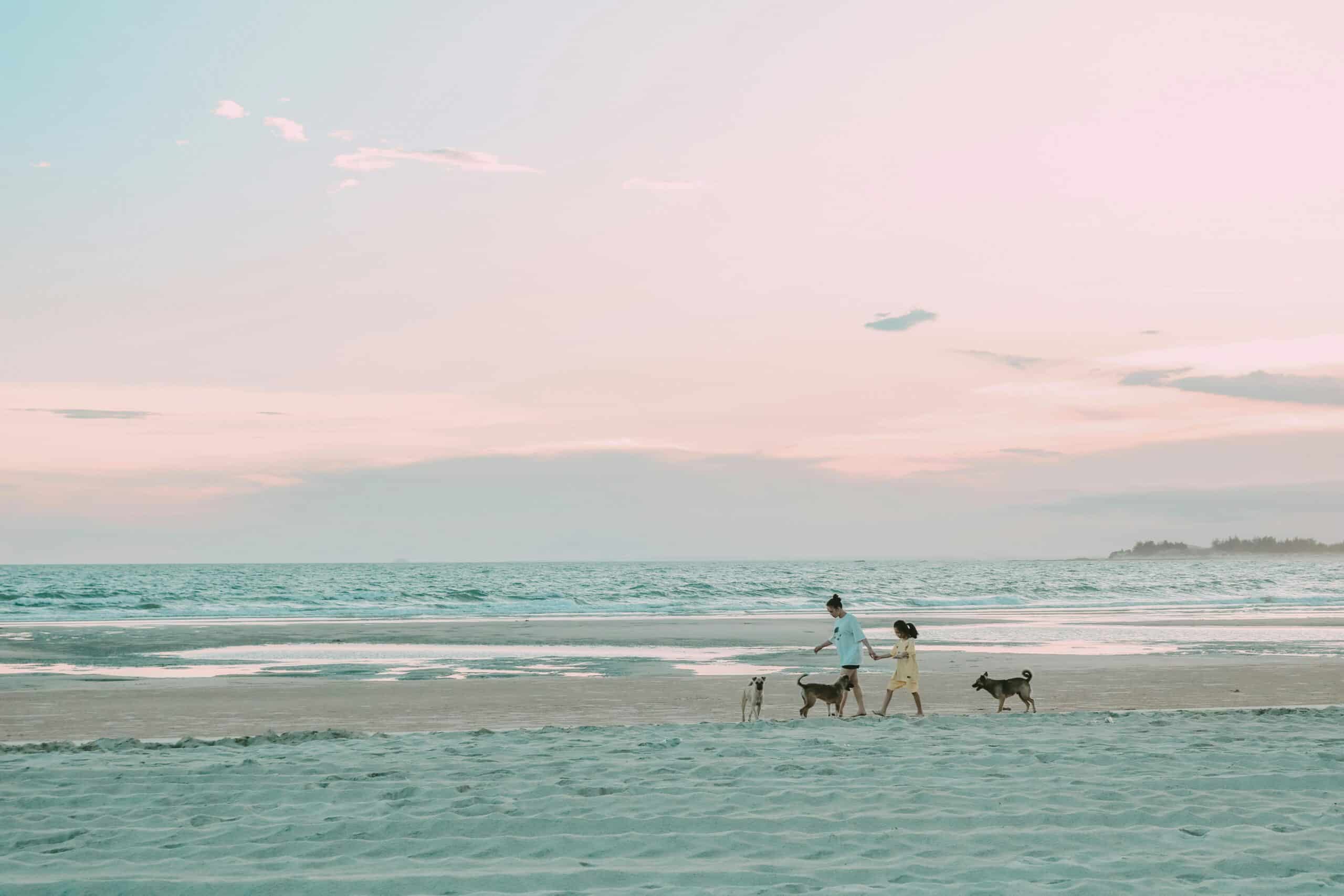 Kostenloses Stock Foto zu dämmerung, frau, gehen