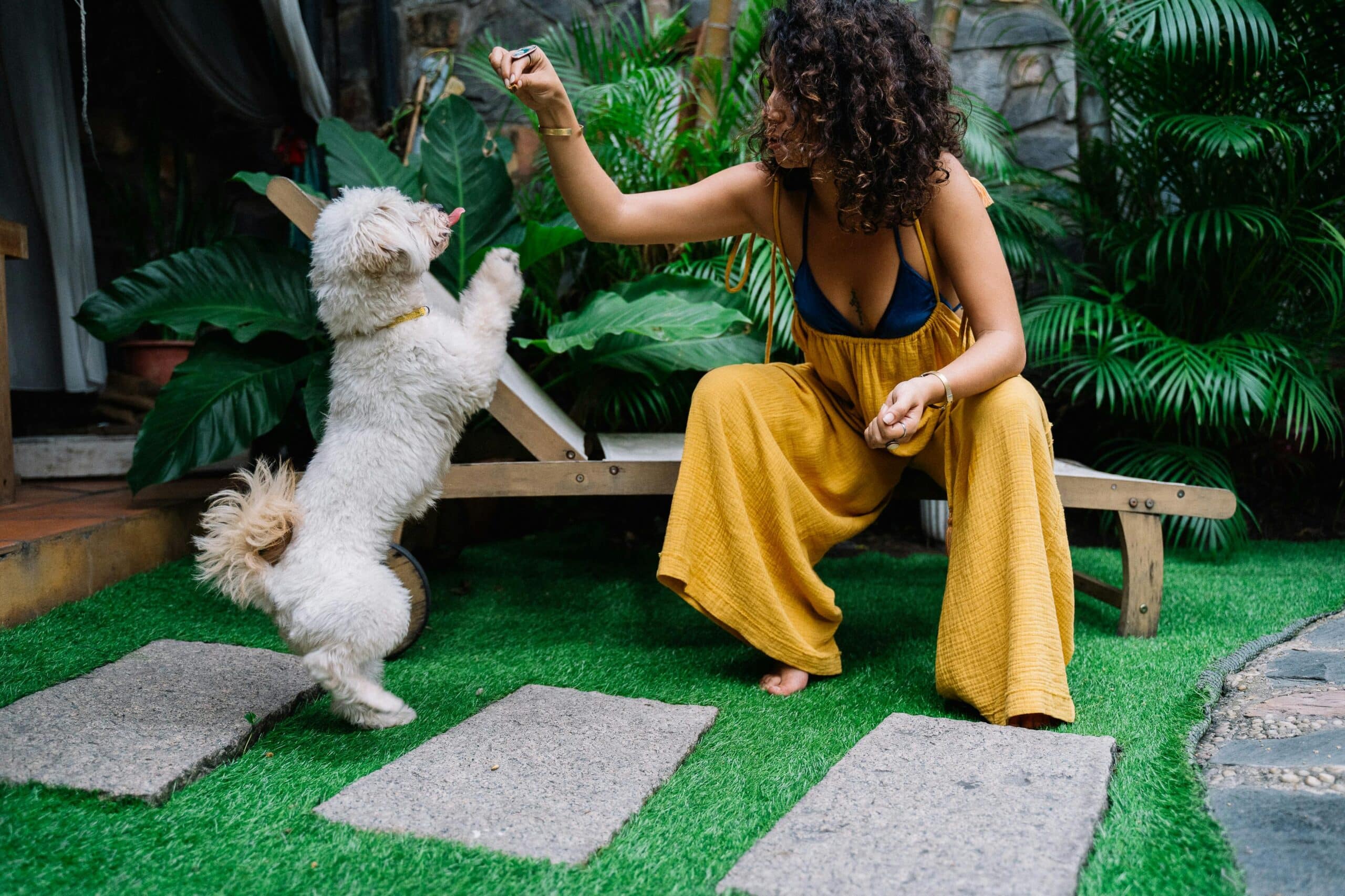 Kostenloses Stock Foto zu begleiter, ernährung, frau