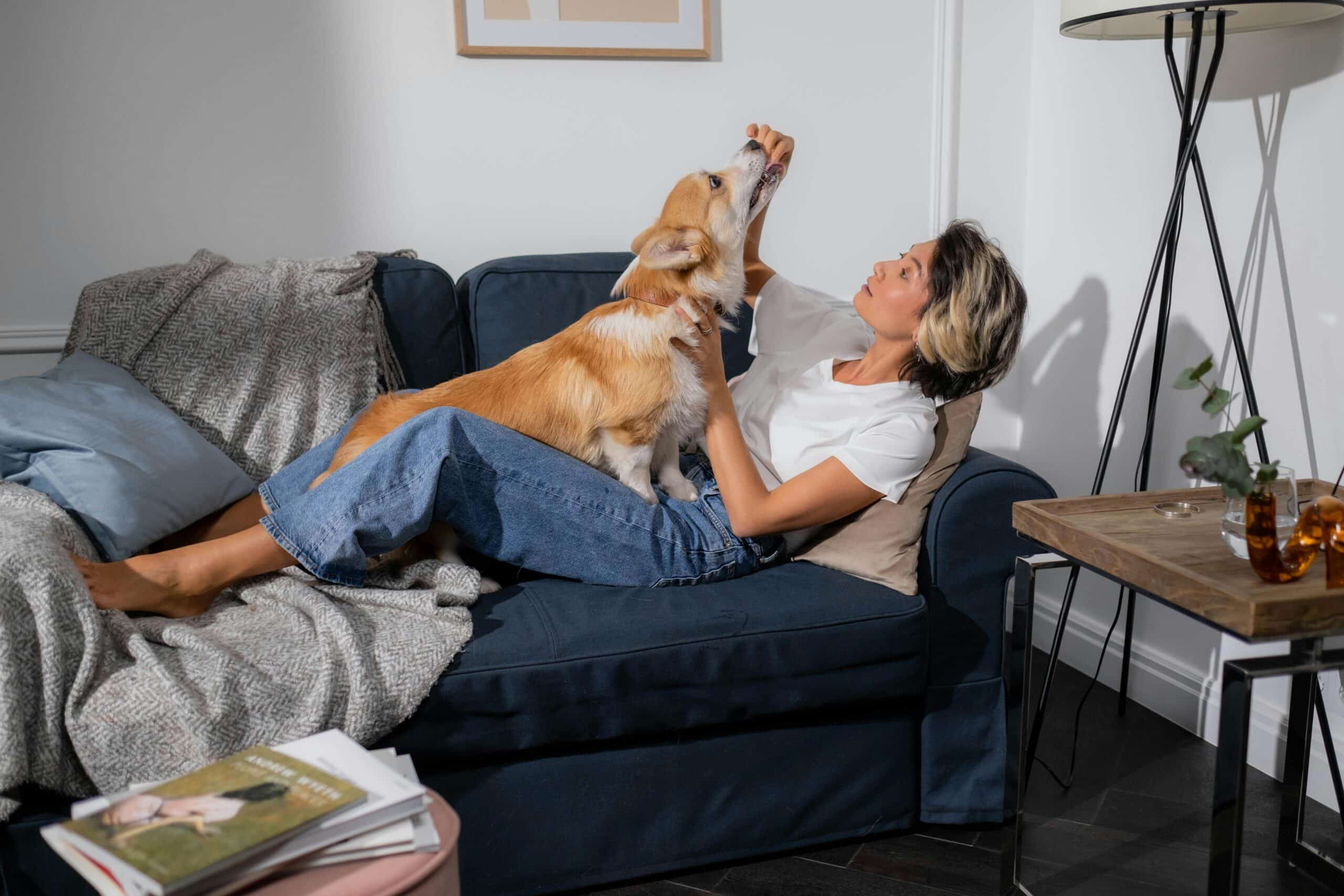 Kostenloses Stock Foto zu asiatische frau, corgi, couch