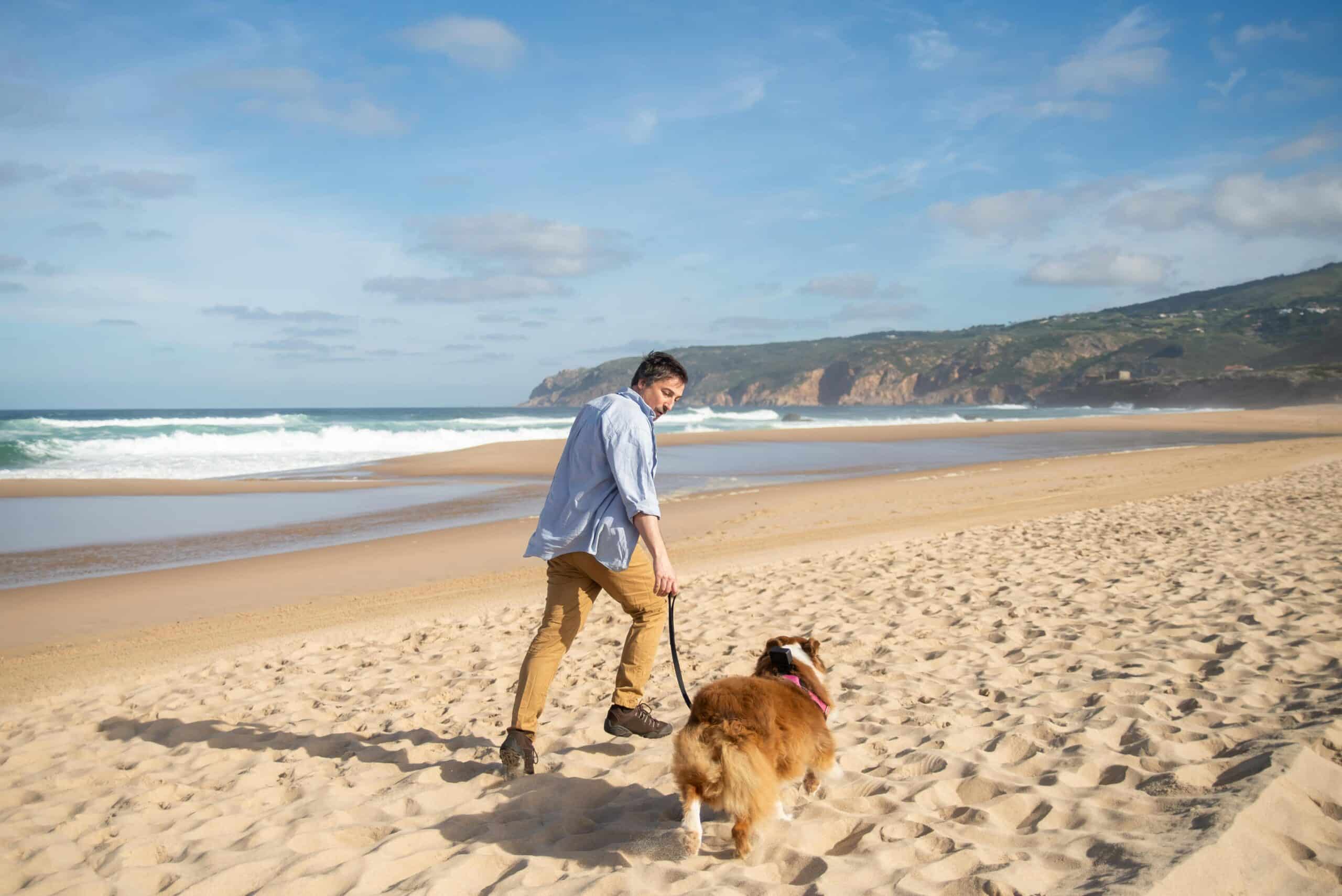 Kostenloses Stock Foto zu begleiter, ernährung, häuslich